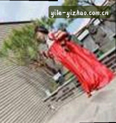 刘阳